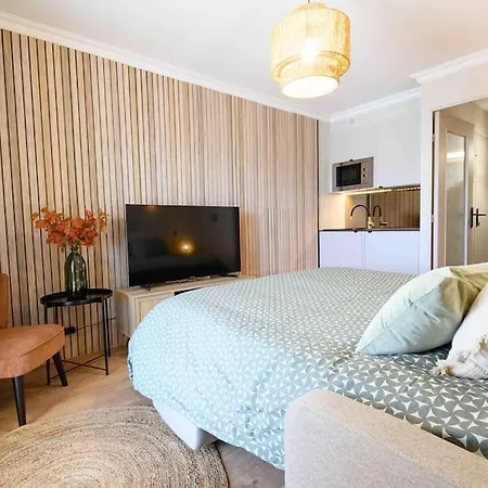 Apartment Magnifique Ac Terrasse-plage A Pied-parking Prive